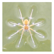 \epsfbox{p12550.eps}