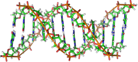 DNA, Wikipedia