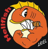 Knightfish avatar
